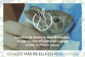 Ong te protejo se une a enlightaid para lograr una américa latina cruelty free