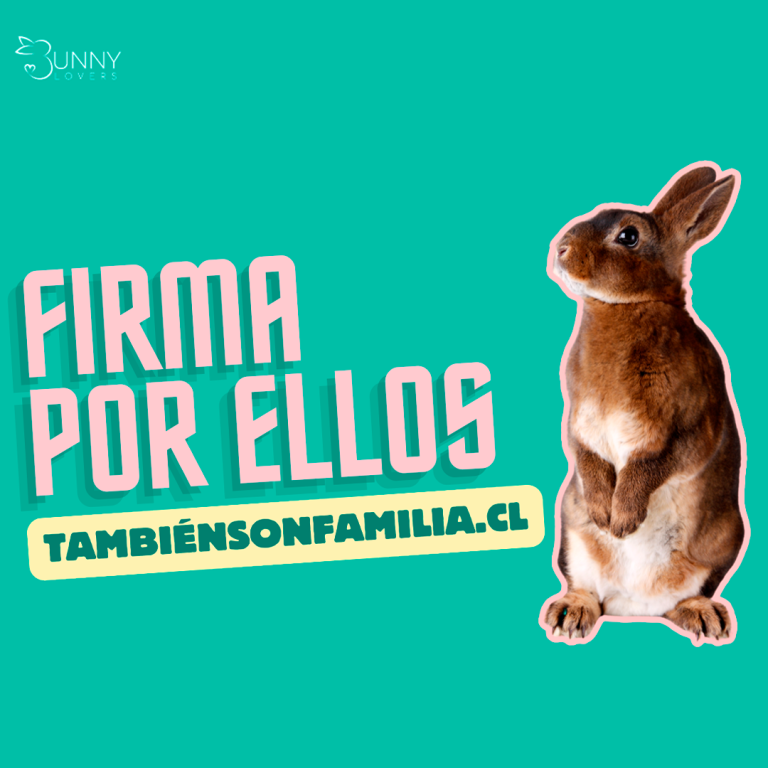 artículo noticia 07