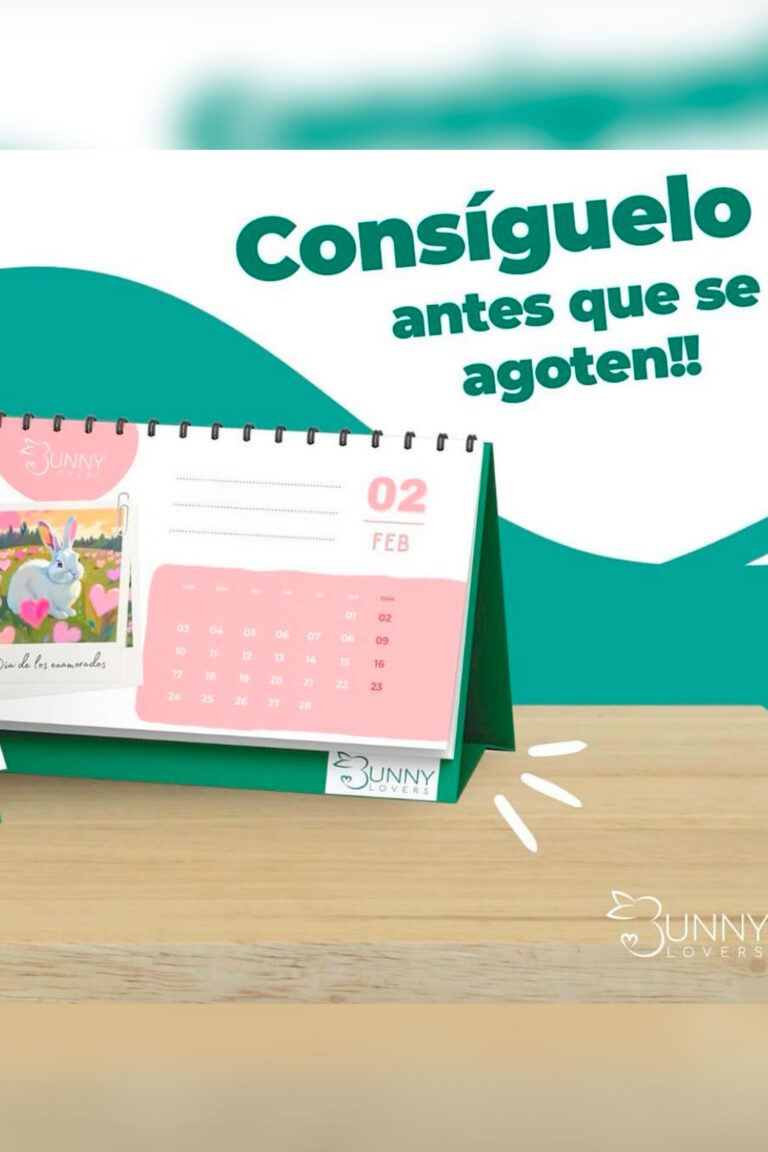 Primer Bunny Calendario